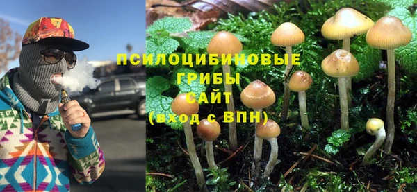 ПСИЛОЦИБИНОВЫЕ ГРИБЫ Гусиноозёрск