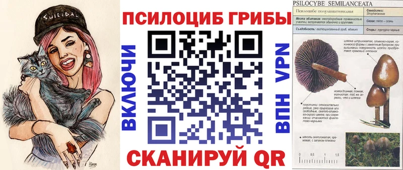 Галлюциногенные грибы Magic Shrooms  Иваново 